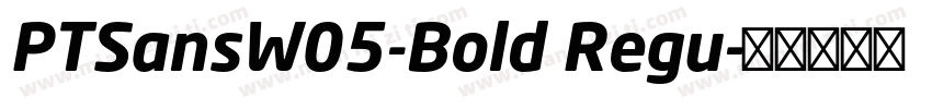 PTSansW05-Bold Regu字体转换